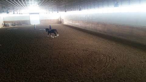 Foxwood Farms Equestrian Foxwood Farms Equestrian